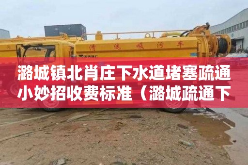 潞城镇北肖庄下水道堵塞疏通小妙招收费标准（潞城疏通下水道电话）