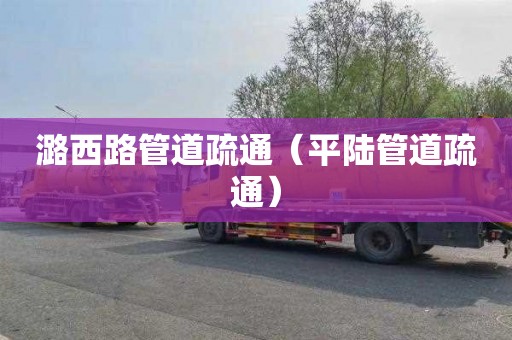 潞西路管道疏通（平陆管道疏通）