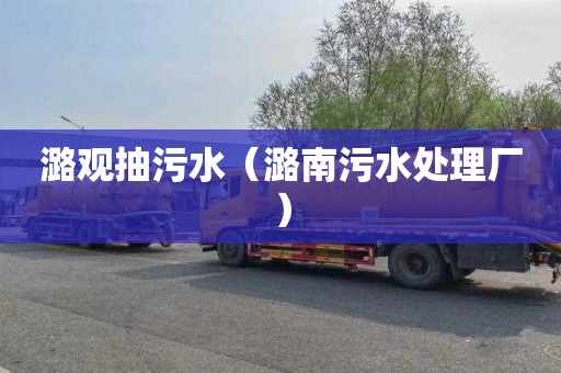 潞观抽污水（潞南污水处理厂）