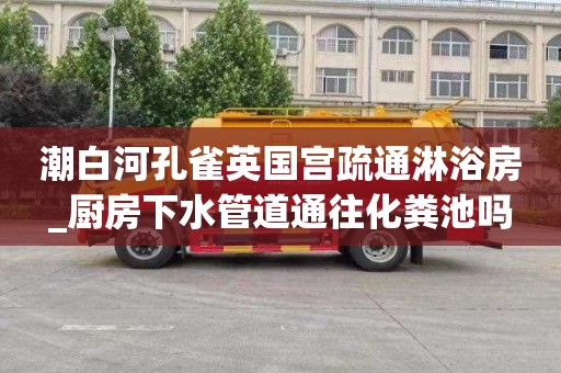 潮白河孔雀英国宫疏通淋浴房_厨房下水管道通往化粪池吗