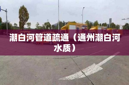 潮白河管道疏通（通州潮白河水质）