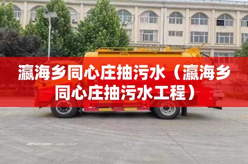 瀛海乡同心庄抽污水（瀛海乡同心庄抽污水工程）