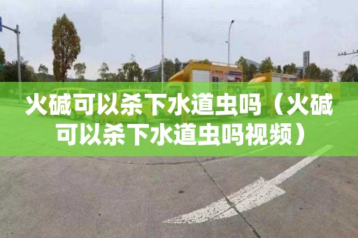 火碱可以杀下水道虫吗（火碱可以杀下水道虫吗视频）