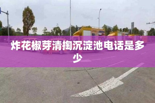 炸花椒芽清掏沉淀池电话是多少