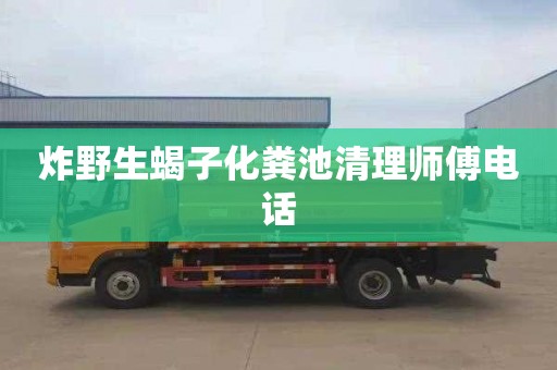 炸野生蝎子化粪池清理师傅电话