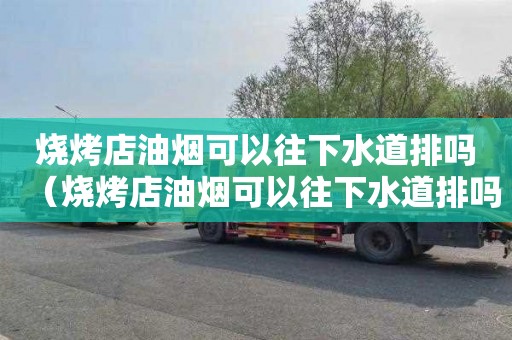 烧烤店油烟可以往下水道排吗（烧烤店油烟可以往下水道排吗视频）
