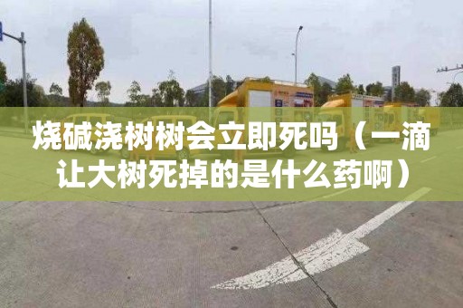 烧碱浇树树会立即死吗（一滴让大树死掉的是什么药啊）