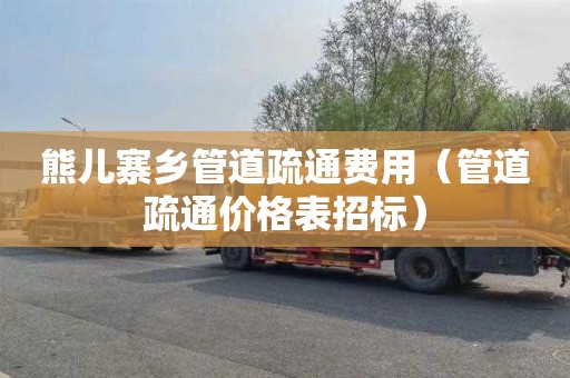 熊儿寨乡管道疏通费用（管道疏通价格表招标）