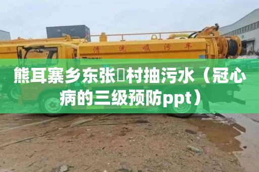 熊耳寨乡东张硲村抽污水（冠心病的三级预防ppt）