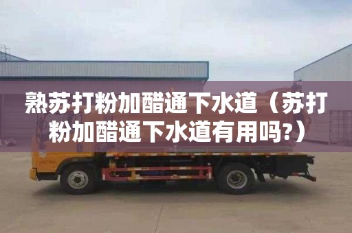 熟苏打粉加醋通下水道（苏打粉加醋通下水道有用吗?）
