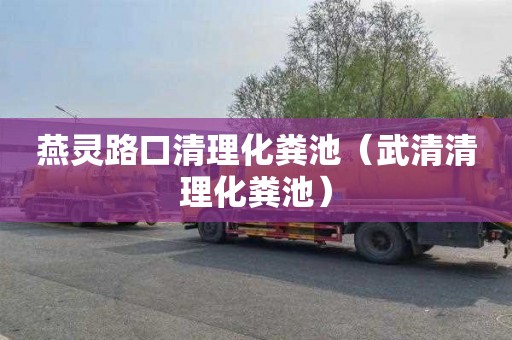 燕灵路口清理化粪池（武清清理化粪池）