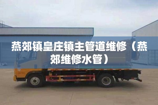 燕郊镇皇庄镇主管道维修（燕郊维修水管）