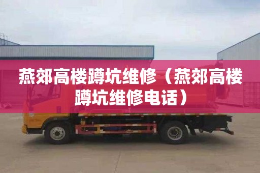 燕郊高楼蹲坑维修（燕郊高楼蹲坑维修电话）
