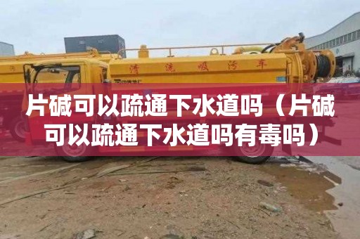 片碱可以疏通下水道吗（片碱可以疏通下水道吗有毒吗）