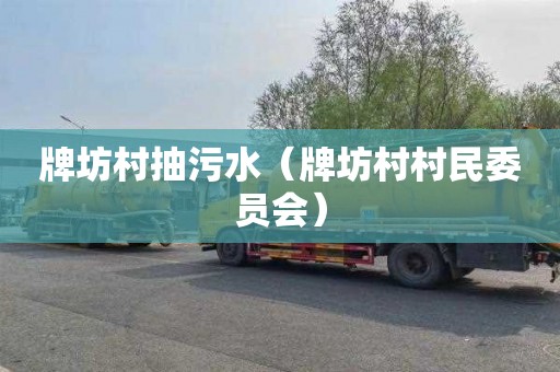 牌坊村抽污水（牌坊村村民委员会）