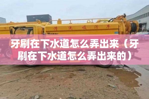 牙刷在下水道怎么弄出来（牙刷在下水道怎么弄出来的）