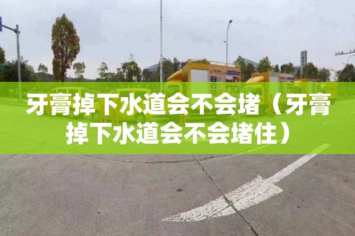 牙膏掉下水道会不会堵（牙膏掉下水道会不会堵住）