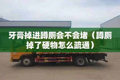 牙膏掉进蹲厕会不会堵（蹲厕掉了硬物怎么疏通）