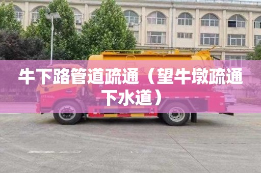 牛下路管道疏通（望牛墩疏通下水道）