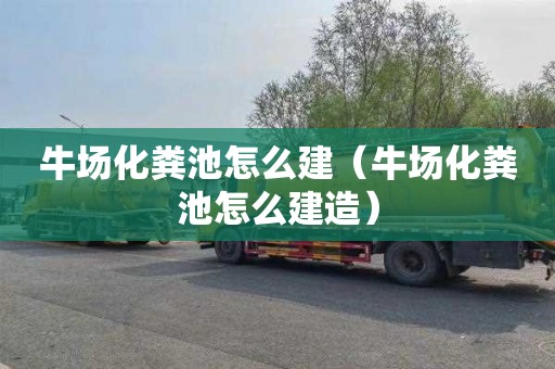 牛场化粪池怎么建（牛场化粪池怎么建造）