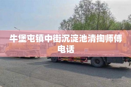 牛堡屯镇中街沉淀池清掏师傅电话