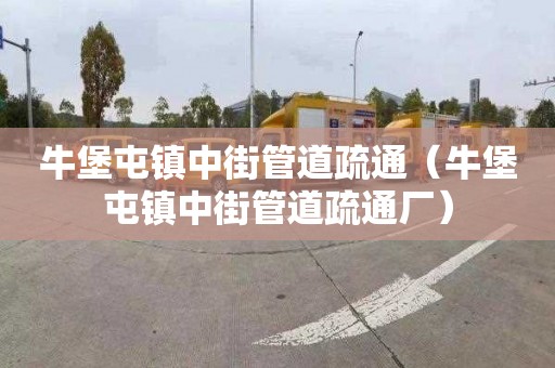 牛堡屯镇中街管道疏通（牛堡屯镇中街管道疏通厂）