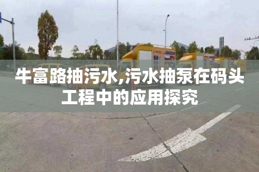 牛富路抽污水,污水抽泵在码头工程中的应用探究