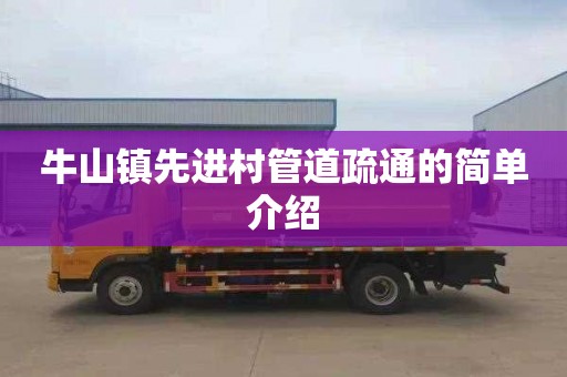 牛山镇先进村管道疏通的简单介绍