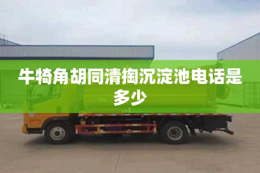 牛犄角胡同清掏沉淀池电话是多少