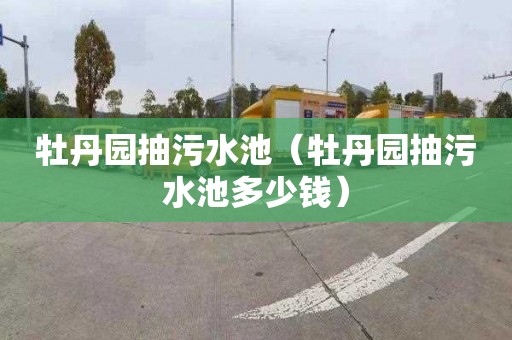 牡丹园抽污水池（牡丹园抽污水池多少钱）