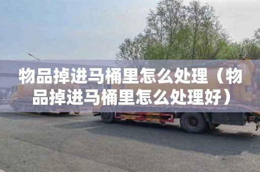 物品掉进马桶里怎么处理（物品掉进马桶里怎么处理好）