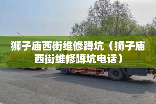 狮子庙西街维修蹲坑（狮子庙西街维修蹲坑电话）