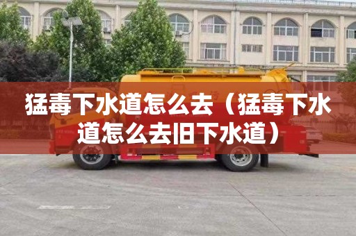 猛毒下水道怎么去（猛毒下水道怎么去旧下水道）
