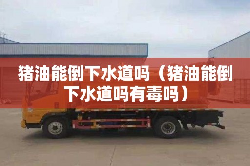 猪油能倒下水道吗（猪油能倒下水道吗有毒吗）
