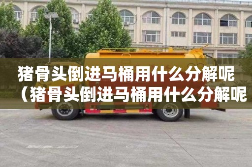 猪骨头倒进马桶用什么分解呢（猪骨头倒进马桶用什么分解呢图片）