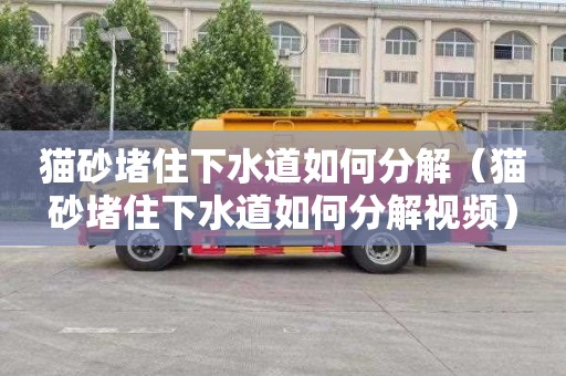 猫砂堵住下水道如何分解（猫砂堵住下水道如何分解视频）