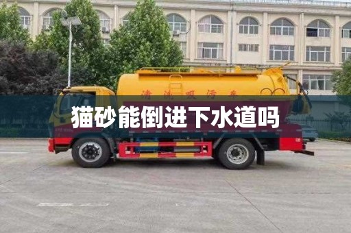 猫砂能倒进下水道吗