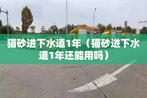 猫砂进下水道1年（猫砂进下水道1年还能用吗）
