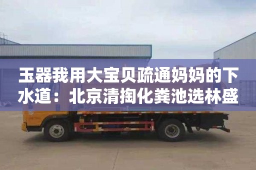 玉器我用大宝贝疏通妈妈的下水道：北京清掏化粪池选林盛瑞发管道疏通