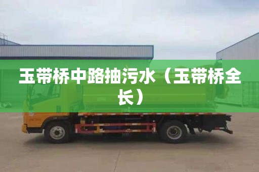 玉带桥中路抽污水（玉带桥全长）