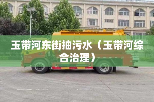 玉带河东街抽污水（玉带河综合治理）