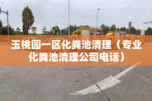 玉桃园一区化粪池清理（专业化粪池清理公司电话）