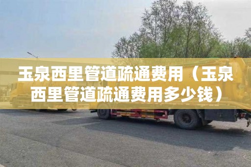 玉泉西里管道疏通费用（玉泉西里管道疏通费用多少钱）