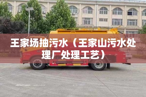 王家场抽污水（王家山污水处理厂处理工艺）