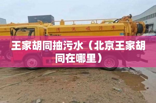 王家胡同抽污水（北京王家胡同在哪里）