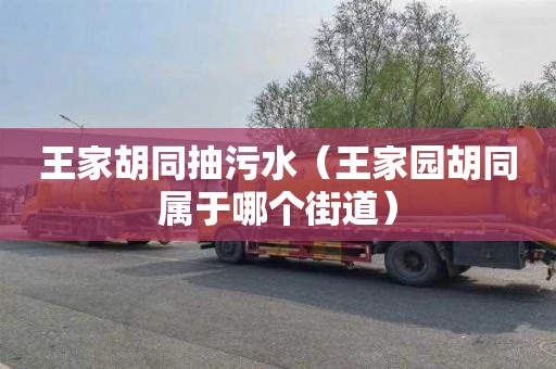 王家胡同抽污水（王家园胡同属于哪个街道）