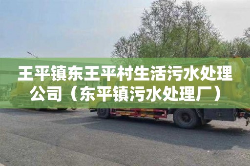 王平镇东王平村生活污水处理公司（东平镇污水处理厂）
