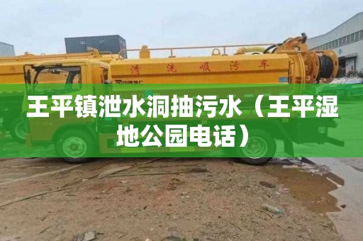 王平镇泄水洞抽污水（王平湿地公园电话）