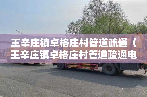 王辛庄镇卓格庄村管道疏通（王辛庄镇卓格庄村管道疏通电话）