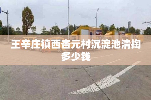 王辛庄镇西杏元村沉淀池清掏多少钱